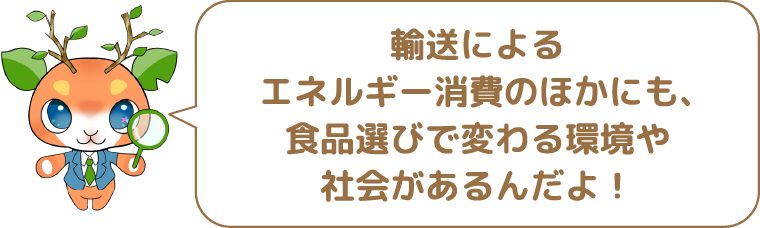 輸送によるエネルギー消費のほかにも、食品選びで変わる環境や社会があるんだよ!